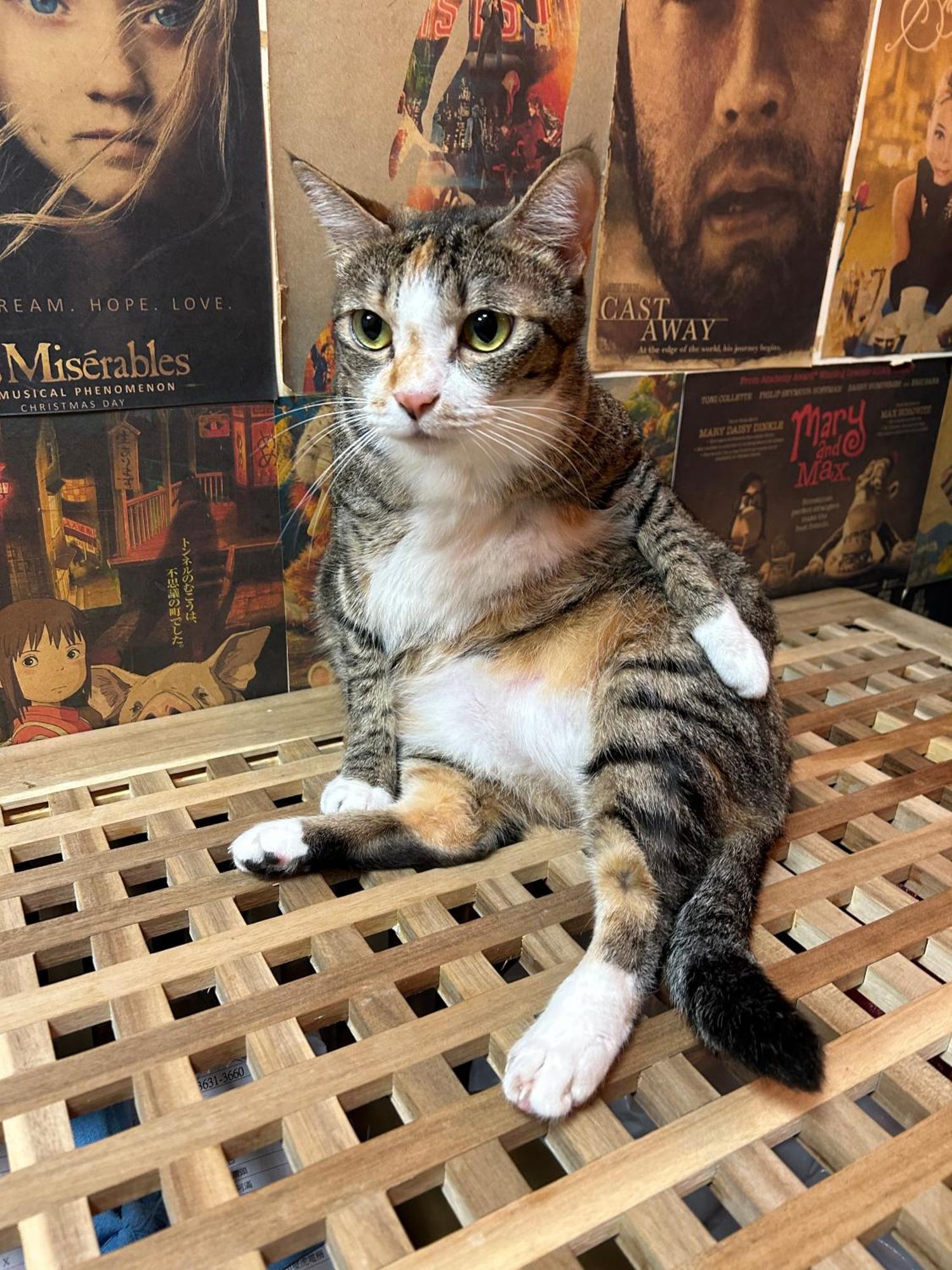 Taipei Triple Tiger Inn Zewnętrze zdjęcie
