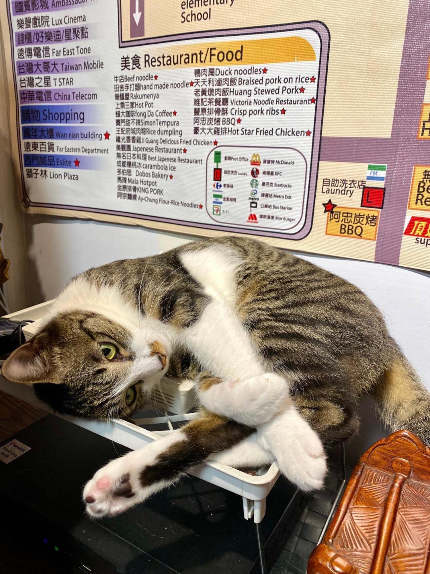 Taipei Triple Tiger Inn Zewnętrze zdjęcie